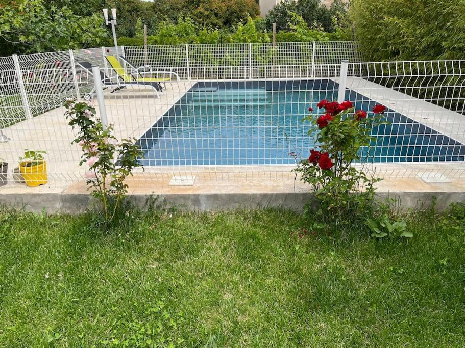 Villa Climatise Avec Piscine Et Jacuzzi Карпантра Экстерьер фото